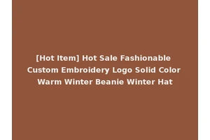 [Hot Item] Hot Sale Fashionable Custom Embroidery Logo Solid Color Warm Winter Beanie Winter Hat