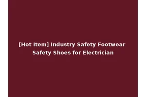[Hot Item] Industry Safety Footwear Safety Shoes for Electrician