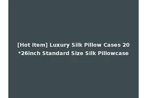 [Hot Item] Luxury Silk Pillow Cases 20*26inch Standard Size Silk Pillowcase