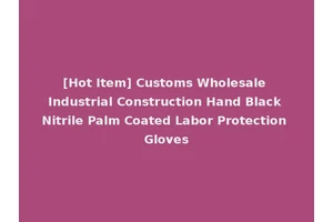 [Hot Item] Customs Wholesale Industrial Construction Hand Black Nitrile Palm Coated Labor Protection Gloves