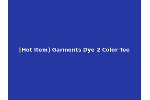 [Hot Item] Garments Dye 2 Color Tee