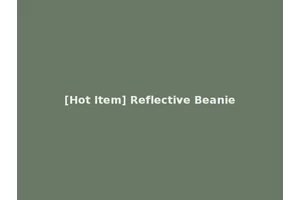 [Hot Item] Reflective Beanie