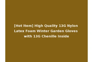 [Hot Item] High Quality 13G Nylon Latex Foam Winter Garden Gloves with 13G Chenille Inside