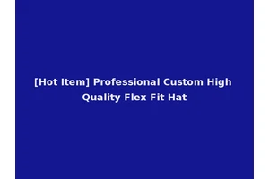 [Hot Item] Professional Custom High Quality Flex Fit Hat