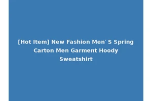 [Hot Item] New Fashion Men′ S Spring Carton Men Garment Hoody Sweatshirt