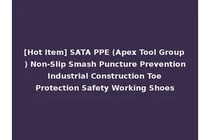 [Hot Item] SATA PPE (Apex Tool Group) Non-Slip Smash Puncture Prevention Industrial Construction Toe Protection Safety Working Shoes