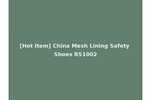 [Hot Item] China Mesh Lining Safety Shoes RS1002