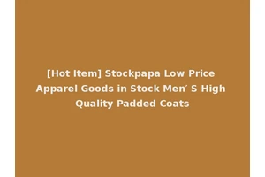 [Hot Item] Stockpapa Low Price Apparel Goods in Stock Men′ S High Quality Padded Coats