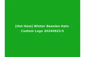 [Hot Item] Winter Beanies Hats Custom Logo 20240923-5