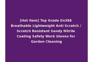 [Hot Item] Top Grade En388 Breathable Lightweight Anti Scratch / Scratch Resistant Sandy Nitrile Coating Safety Work Gloves for Garden Cleaning
