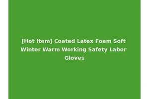[Hot Item] Coated Latex Foam Soft Winter Warm Working Safety Labor Gloves
