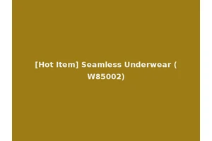 [Hot Item] Seamless Underwear (W85002)