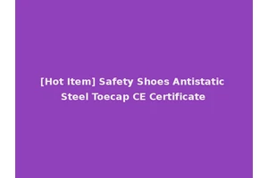 [Hot Item] Safety Shoes Antistatic Steel Toecap CE Certificate