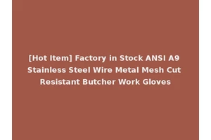 [Hot Item] Factory in Stock ANSI A9 Stainless Steel Wire Metal Mesh Cut Resistant Butcher Work Gloves