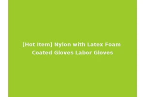 [Hot Item] Nylon with Latex Foam Coated Gloves Labor Gloves