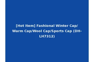 [Hot Item] Fashional Winter Cap/Warm Cap/Wool Cap/Sports Cap (DH-LH7312)