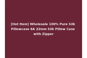 [Hot Item] Wholesale 100% Pure Silk Pillowcase 6A 22mm Silk Pillow Case with Zipper