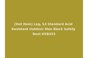 [Hot Item] Lxg, S3 Standard Acid Resistant Outdoor Men Black Safety Boot HSB253