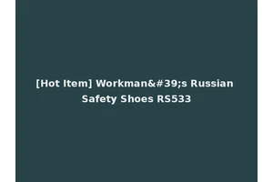 [Hot Item] Workman's Russian Safety Shoes RS533