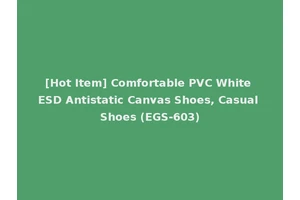 [Hot Item] Comfortable PVC White ESD Antistatic Canvas Shoes, Casual Shoes (EGS-603)