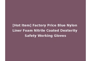 [Hot Item] Factory Price Blue Nylon Liner Foam Nitrile Coated Dexterity Safety Working Gloves