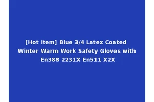 [Hot Item] Blue 3/4 Latex Coated Winter Warm Work Safety Gloves with En388 2231X En511 X2X
