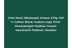 [Hot Item] Wholesale Unisex 370g 100% Cotton Blank Custom Logo Print Heavyweight Fashion Casual Sweatshirt Pullover Hoodies