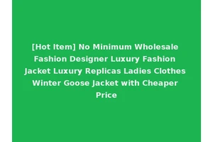 [Hot Item] No Minimum Wholesale Fashion Designer Luxury Fashion Jacket Luxury Replicas Ladies Clothes Winter Goose Jacket with Cheaper Price