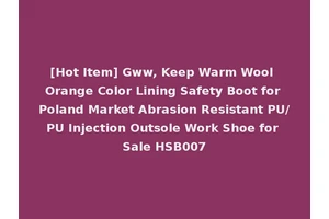[Hot Item] Gww, Keep Warm Wool Orange Color Lining Safety Boot for Poland Market Abrasion Resistant PU/PU Injection Outsole Work Shoe for Sale HSB007