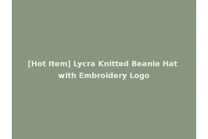 [Hot Item] Lycra Knitted Beanie Hat with Embroidery Logo