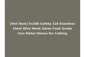 [Hot Item] En388 Safety 316 Stainless Steel Wire Mesh Glove Food Grade Iron Metal Gloves for Cutting
