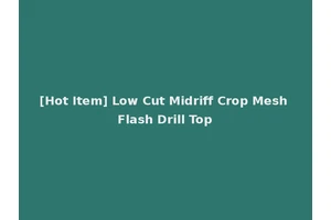 [Hot Item] Low Cut Midriff Crop Mesh Flash Drill Top