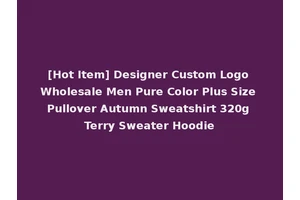[Hot Item] Designer Custom Logo Wholesale Men Pure Color Plus Size Pullover Autumn Sweatshirt 320g Terry Sweater Hoodie