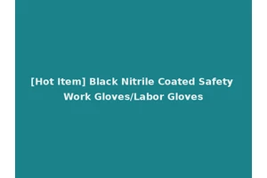 [Hot Item] Black Nitrile Coated Safety Work Gloves/Labor Gloves