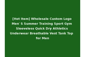 [Hot Item] Wholesale Custom Logo Men′ S Summer Training Sport Gym Sleeveless Quick Dry Athletics Underwear Breathable Vest Tank Top for Men