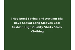 [Hot Item] Spring and Autumn Big Boys Casual Long Sleeves Cool Fashion High Quality Shirts Stock Clothing