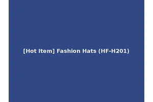 [Hot Item] Fashion Hats (HF-H201)