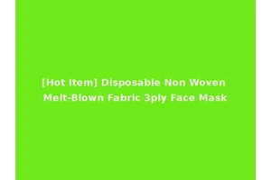 [Hot Item] Disposable Non Woven Melt-Blown Fabric 3ply Face Mask