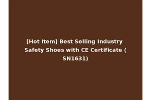 [Hot Item] Best Selling Industry Safety Shoes with CE Certificate (SN1631)