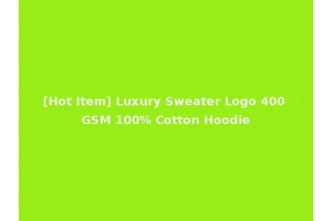 [Hot Item] Luxury Sweater Logo 400 GSM 100% Cotton Hoodie
