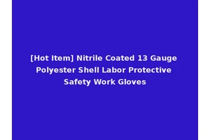[Hot Item] Nitrile Coated 13 Gauge Polyester Shell Labor Protective Safety Work Gloves