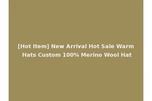[Hot Item] New Arrival Hot Sale Warm Hats Custom 100% Merino Wool Hat