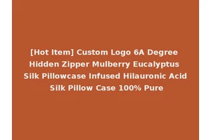 [Hot Item] Custom Logo 6A Degree Hidden Zipper Mulberry Eucalyptus Silk Pillowcase Infused Hilauronic Acid Silk Pillow Case 100% Pure