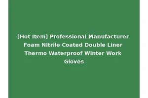 [Hot Item] Professional Manufacturer Foam Nitrile Coated Double Liner Thermo Waterproof Winter Work Gloves
