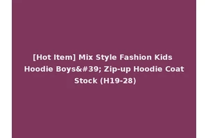 [Hot Item] Mix Style Fashion Kids Hoodie Boys' Zip-up Hoodie Coat Stock (H19-28)