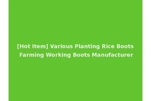 [Hot Item] Various Planting Rice Boots Farming Working Boots Manufacturer