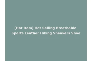 [Hot Item] Hot Selling Breathable Sports Leather Hiking Sneakers Shoe