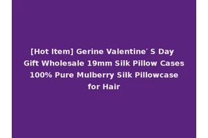 [Hot Item] Gerine Valentine′ S Day Gift Wholesale 19mm Silk Pillow Cases 100% Pure Mulberry Silk Pillowcase for Hair