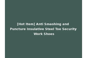 [Hot Item] Anti Smashing and Puncture Insulative Steel Toe Security Work Shoes