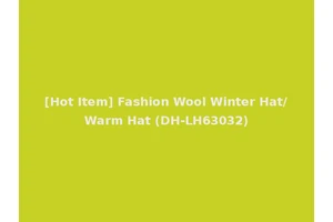 [Hot Item] Fashion Wool Winter Hat/Warm Hat (DH-LH63032)